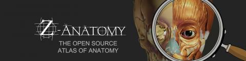 Z-Anatomy the open source atlas of anatomy